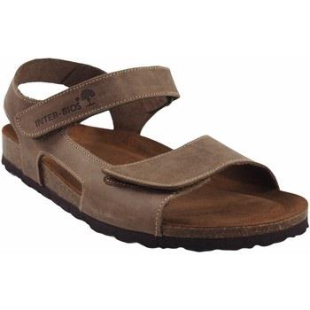 Sportschoenen Interbios Herensandalen INTER BIOS 9536 taupe