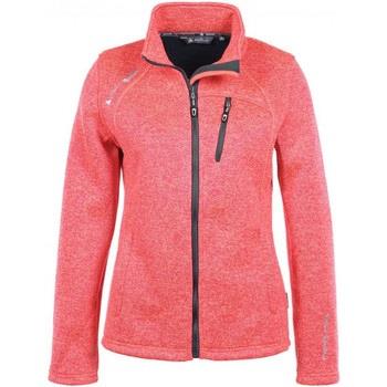 Fleece Jack Peak Mountain Blouson polaire femme ALAIKA