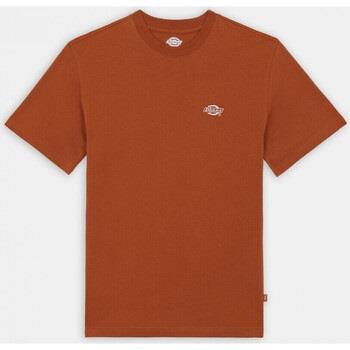 T-shirt Dickies Summerdale ss tee bombay