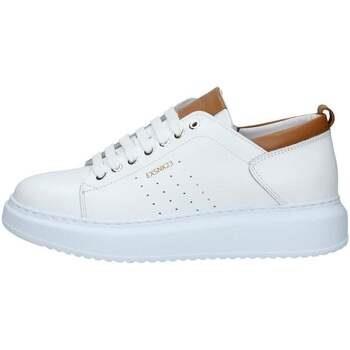 Sneakers Exton -