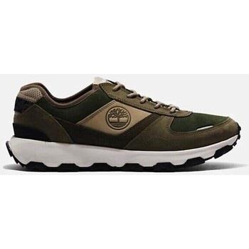 Lage Sneakers Timberland WINSOR PARK