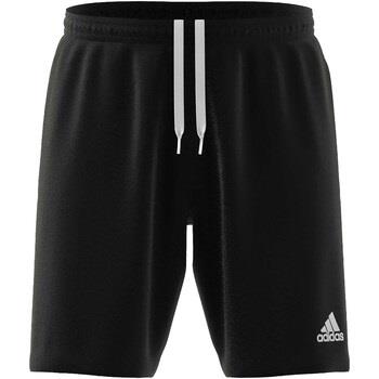 Korte Broek adidas Pantaloni Corti Ent22 Tr Short Nero