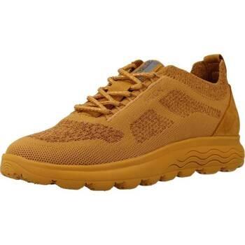 Sneakers Geox D SPHERICA