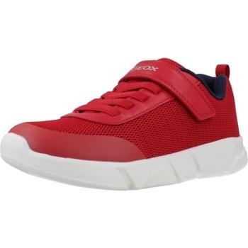 Sneakers Geox J ARIL B.