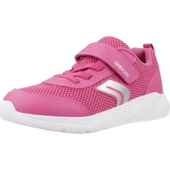 Sneakers Geox J SPRINTYE GIRL