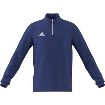 Sweater adidas H57516