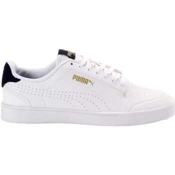 Lage Sneakers Puma -