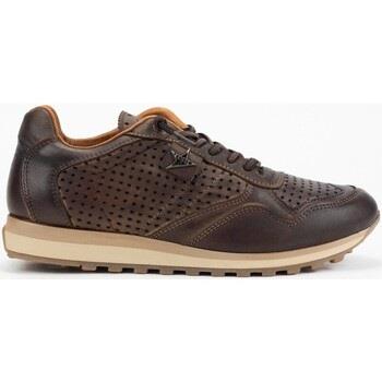 Sneakers Cetti 34993