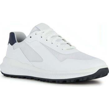 Lage Sneakers Geox -