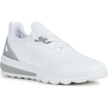 Lage Sneakers Geox -