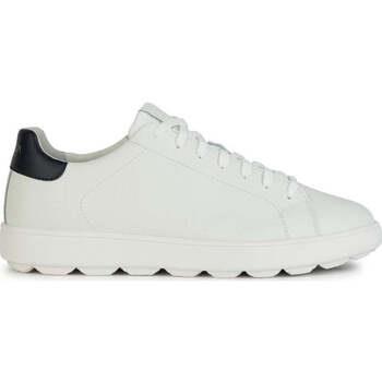 Lage Sneakers Geox -