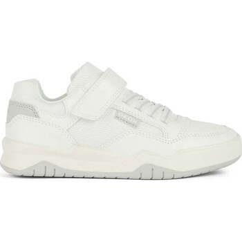 Lage Sneakers Geox -