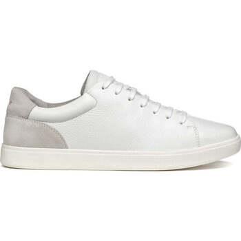 Lage Sneakers Geox -