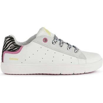 Lage Sneakers Geox -