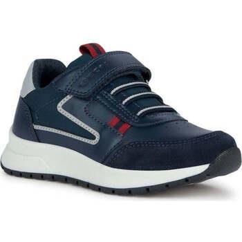 Lage Sneakers Geox -