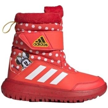 Laarzen adidas Kids Boots Winterplay Minnie C IG7188