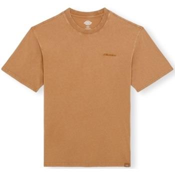 T-shirt Dickies Plentywood T-Shirt - Brown