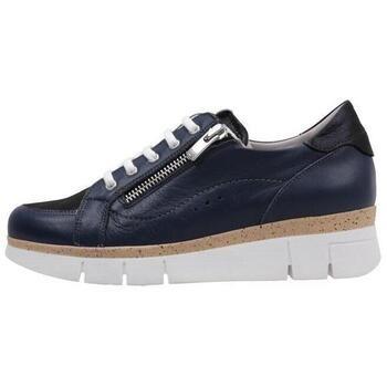 Lage Sneakers Dorking D9301