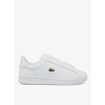 Lage Sneakers Lacoste 33903