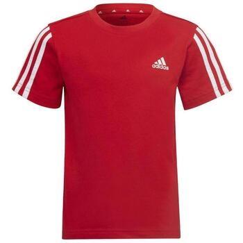 T-shirt Korte Mouw adidas -