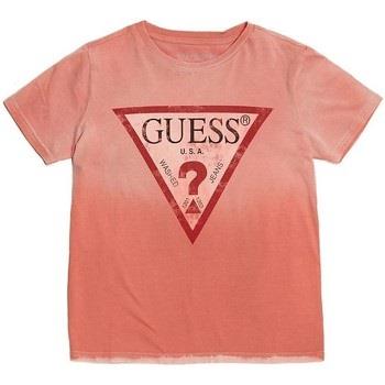 Top Guess 29159