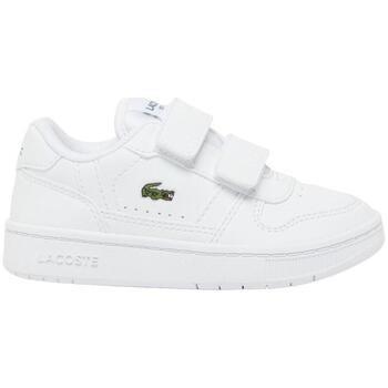 Lage Sneakers Lacoste -