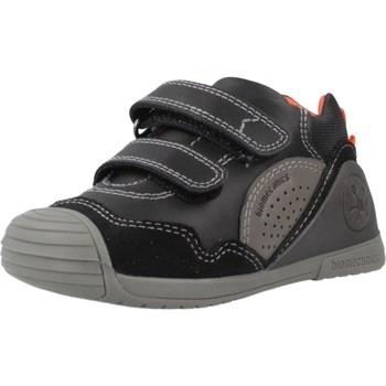 Sneakers Biomecanics 241120B