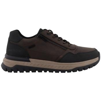 Sneakers Westland 84R0001001