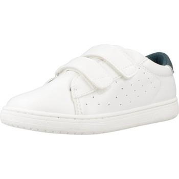 Sneakers Chicco CLESS