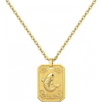 Ketting Phebus Collier Homme