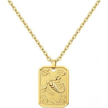 Ketting Phebus Collier Homme