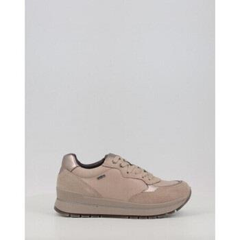 Sneakers IgI&amp;CO DNSGT 66742