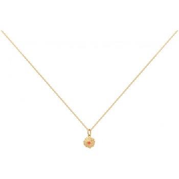 Ketting Phebus Collier Femme