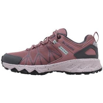 Lage Sneakers Columbia PEAKFREAK II OUTDRY