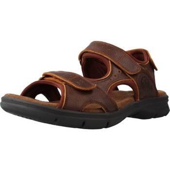 Sandalen Panama Jack SALTON BASICSC4