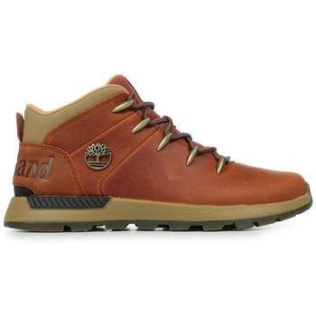 Sneakers Timberland Sprint Trekker Mid Lace Sneaker