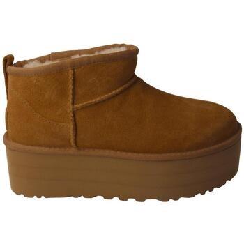 Enkellaarzen UGG -