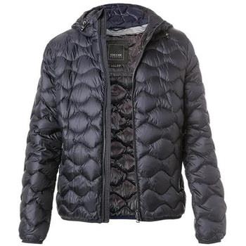 Blazer Geox M ASCANIO