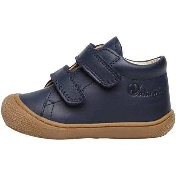 Chaussures Naturino Chaussures premiers pas en cuir COCOON VL