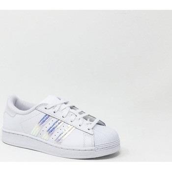 Baskets adidas BASKET SUPERSTAR LACET BLANC ARG