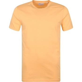 T-shirt Colorful Standard T-shirt Biologique Coloré Orange Clair