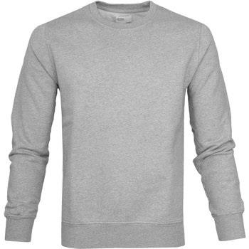 Sweat-shirt Colorful Standard Pull Gris Chiné