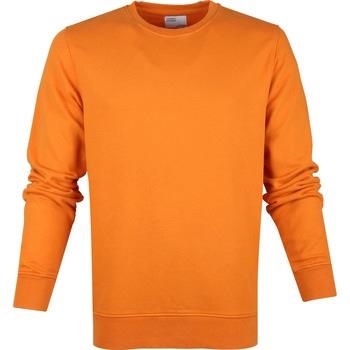 Sweat-shirt Colorful Standard Colourful Standard Pull Orange Bio