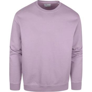 Sweat-shirt Colorful Standard Colourful Standard Pull Violet