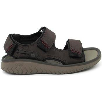 Sandales Clarks -