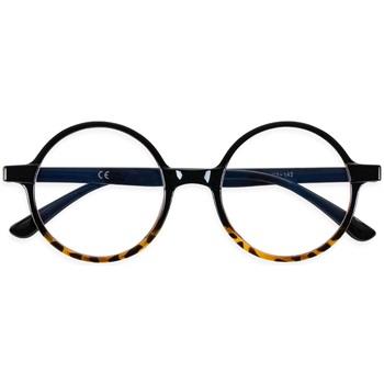 Lunettes de soleil Twig stucki