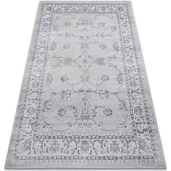 Tapis Rugsx Tapis MEFE moderne 2312 Ornement, cadre 120x170 cm