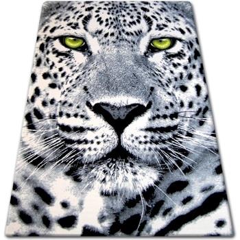 Tapis Rugsx Tapis BCF FLASH 33308/150 160x225 cm