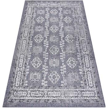 Tapis Rugsx Tapis SIZAL SION Cadre, ornement, vintage 2832 140x190 cm