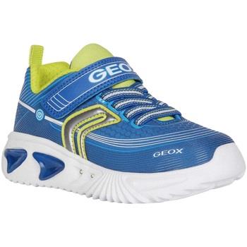 Chaussures enfant Geox Assister